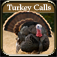 Turkey Hunting Calls